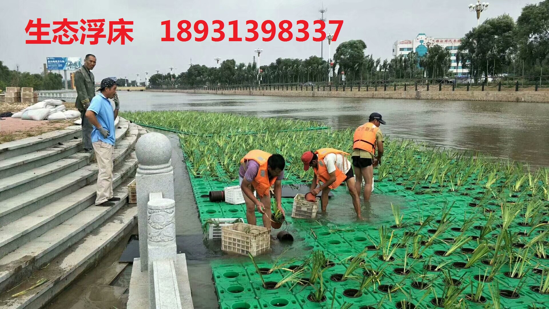 水生植物浮床